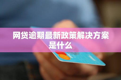 网贷逾期：对公司经营的影响及其应对策略