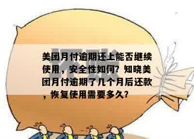 美团月付逾期还款后，用户是否能继续正常使用以及相关解决方法全解析