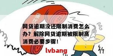 网贷逾期后，网购受限？解决方案一网打尽！