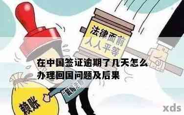 逾期一天的中国签证记录：影响、处理方法与新政策解读