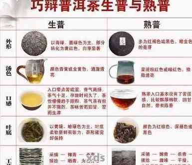 普洱茶的苦涩度：主导因素与决定物质解析