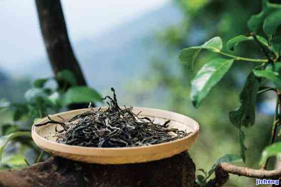 普洱茶的苦涩：一种独特的风味转化过程