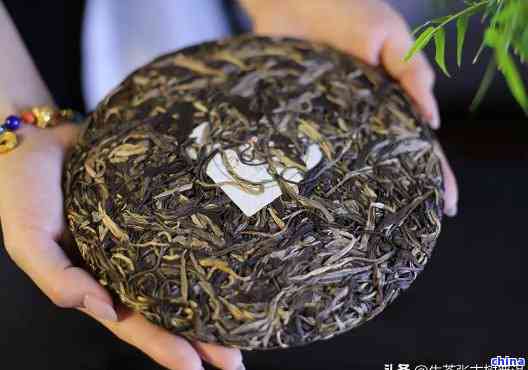 新 珍藏82年老班章普洱茶：一款口感醇厚、香气浓的古树茶品