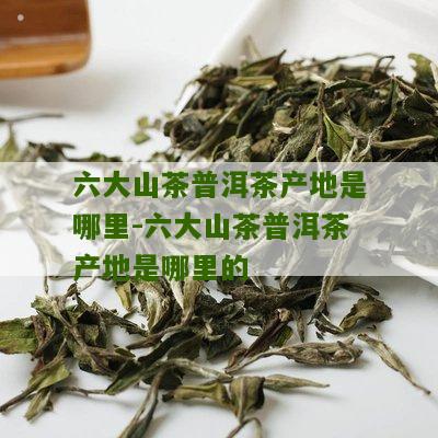 六大茶山6号普洱茶是什么意思啊-六大茶山6号普洱茶是什么意思啊