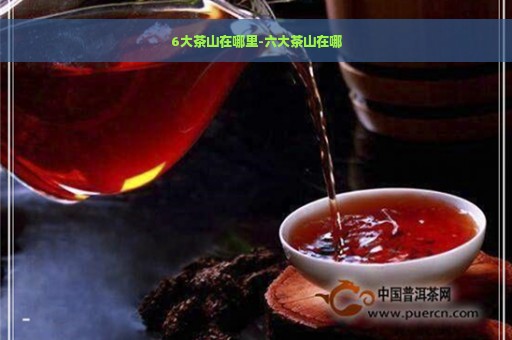 六大茶山6号普洱茶是什么意思啊-六大茶山6号普洱茶是什么意思啊