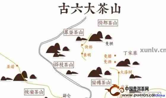 六大茶山号级普洱生茶熟茶价格表及年份查询