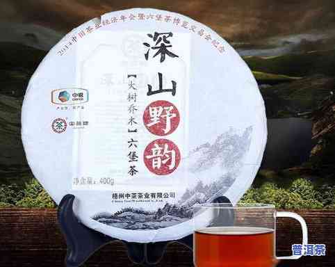 六大茶山号级普洱生茶熟茶价格表及年份查询