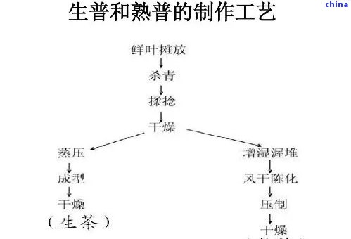 普洱茶：半发酵还是非发酵？揭秘普洱生茶的制作工艺与分类