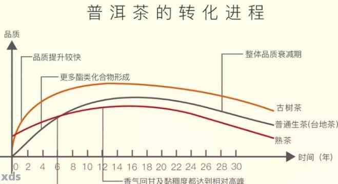 普洱茶的转化期：了解其含义、阶与对茶叶品质的影响