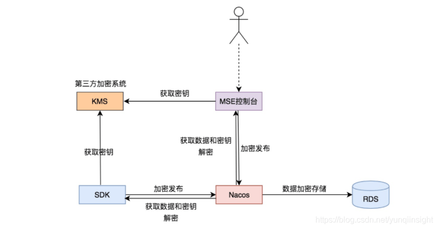 '白玉竹的全面解析：品种特性、生态习性、用途及繁殖方法'