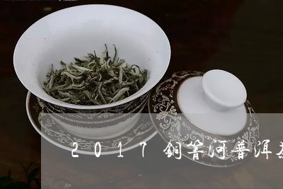 铜箐河普洱茶价格多少一斤