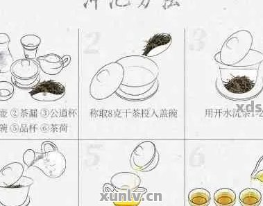 新 '如何正确冲泡灵子草与普洱茶：步骤详解 注意事项'