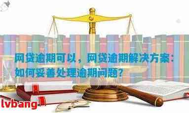 网贷违约后的分期还款政策解析：如何应对逾期？