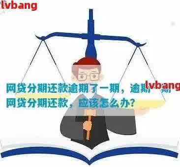 网贷违约后的分期还款政策解析：如何应对逾期？