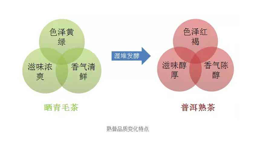 普洱茶的化学成分、药理作用及其在健保健中的应用研究