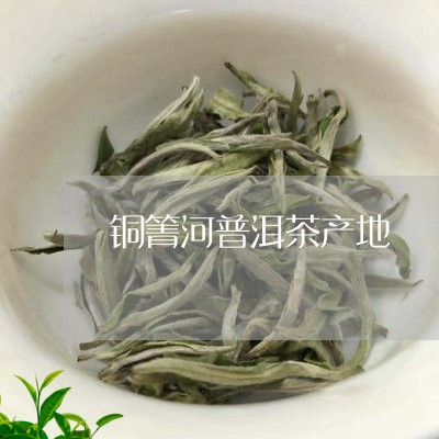 铜菁河普洱茶和革登的区别