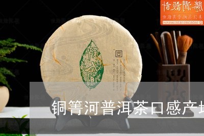 铜菁河普洱茶和革登的区别