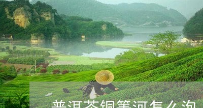 铜菁河普洱茶和革登的区别