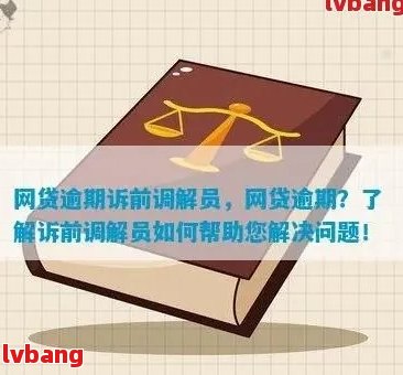 逾期贷款解决方案：专业金融纠纷调解中心助力处理网贷问题