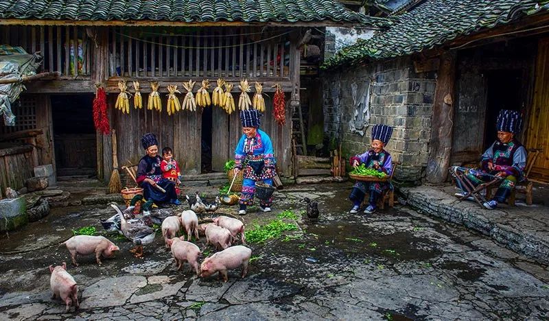 成都一壶春秋普洱茶：草市街的古韵与现代气息交融