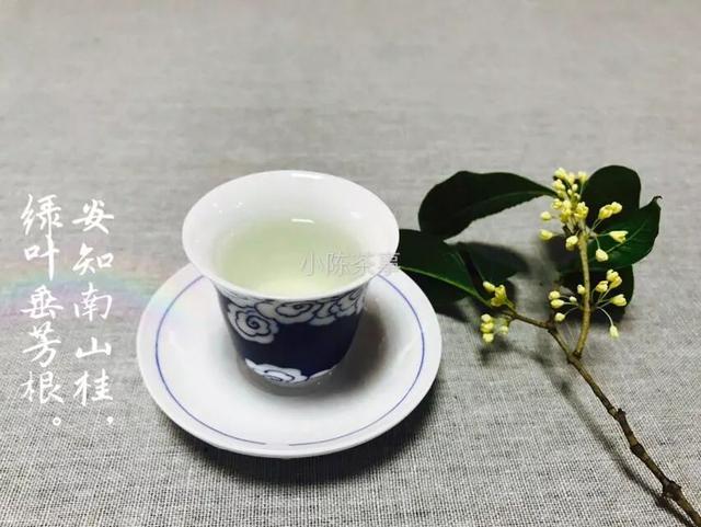 如何区分品质不佳的普洱茶及可能的原因？