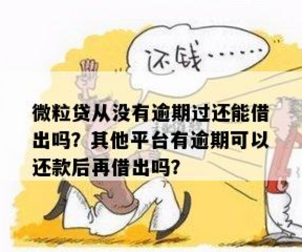 微粒贷没有逾期为什么借不出来