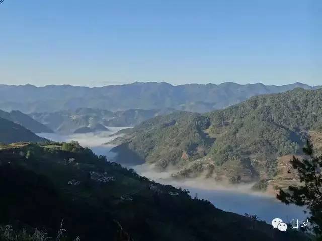 景谷县普洱茶山：知名度、特色与游览指南，探索云南茶叶胜地的全面信息