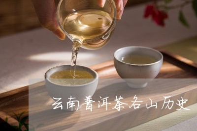 云南普洱茶思普源：源自古茶山的历与传承