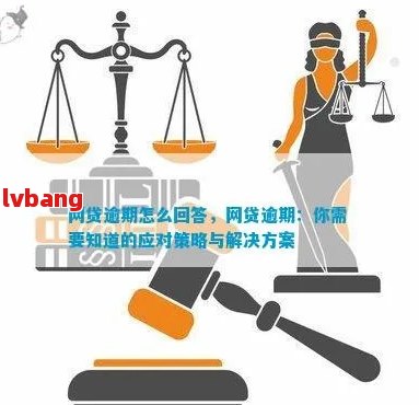 新关于历重大逾期的详细处理方式与影响分析，为您提供全面解决方案