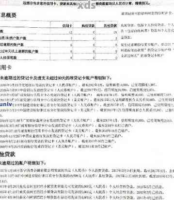 新关于历重大逾期的详细处理方式与影响分析，为您提供全面解决方案