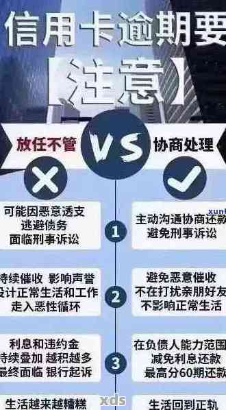 新关于历重大逾期的详细处理方式与影响分析，为您提供全面解决方案