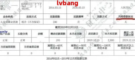 新创历录的逾期天数：原因、影响与解决方案全方位解析