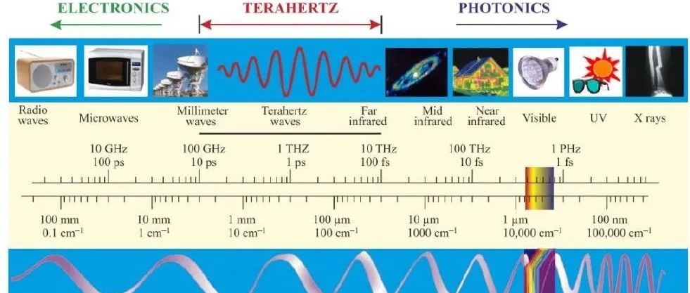 同时佩戴太赫兹能与金项链的安全性和影响：一项科学研究