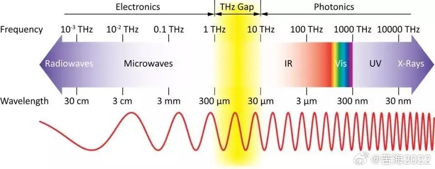 同时佩戴太赫兹能与金项链的安全性和影响：一项科学研究