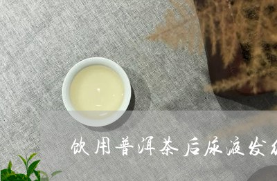 普洱茶喝多了会不会尿液变红？这是什么原因导致的？