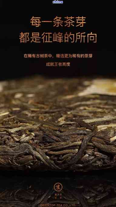 云南普洱茶专营店：正品保障，古树茶系列，老班章，大树青饼，新茶预售