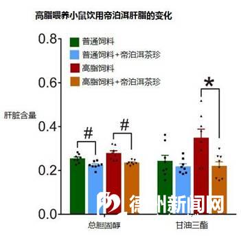 普洱茶对血压的调节作用：科学研究、功效分析及适用人群一览