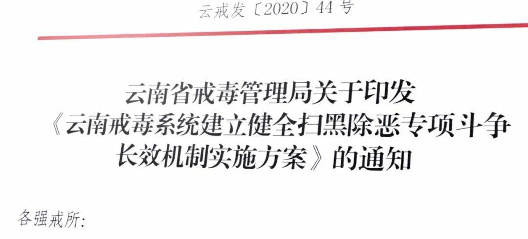 云南普洱茶黑娃：如何营销以提高销量与知名度