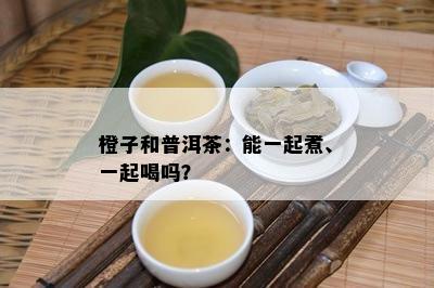 新 普洱茶与话的独特搭配：如何一起煮以提取口感？