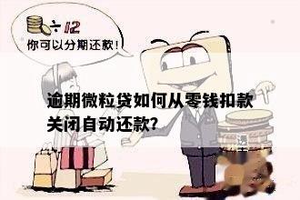 微立贷逾期还款问题解决全指南：未借款却遭、贷款自动扣款怎么办？