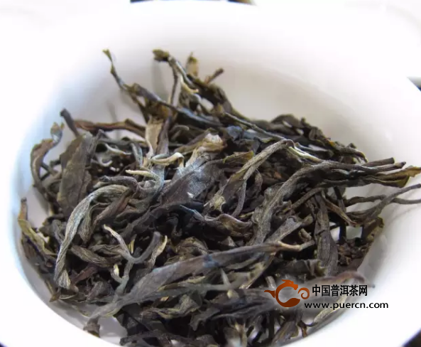 保存一年的普洱茶：时光味道如何续？