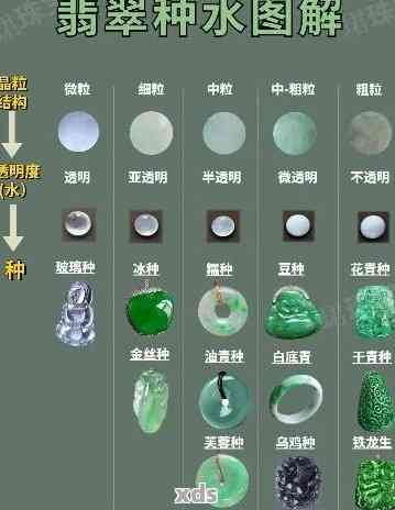 翡翠种水等级划分：专业指南与实用建议