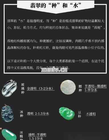 翡翠种水等级划分：专业指南与实用建议