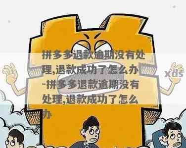 拼多多退货退款逾期未处理自动退款：合法性、流程与影响全解析