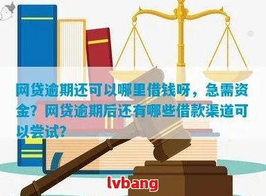 网贷逾期后如何在其他渠道借到钱？解决您逾期借贷的全方位指南！