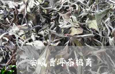 安普洱茶代加工厂家地址查询电话