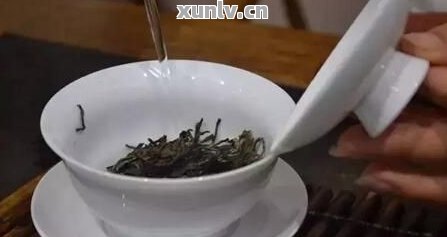 普洱茶泡半杯？如何正确泡制，让口感更佳？