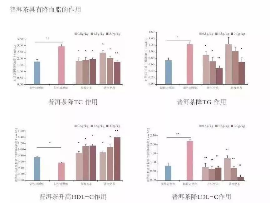 普洱茶菌群转化率计算方法：如何快速掌握？