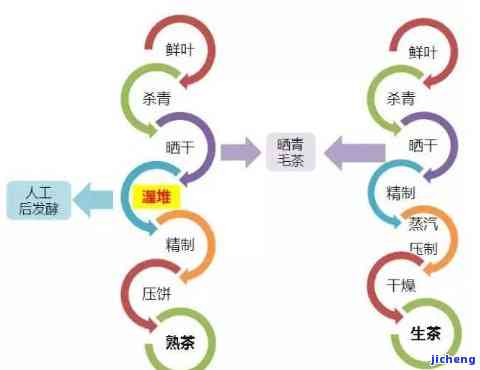 普洱茶菌群转化率计算方法：如何快速掌握？