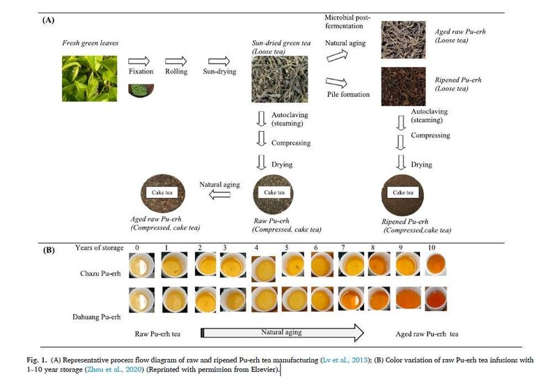 在普洱茶发酵过程中起关键作用的微生物群落解析